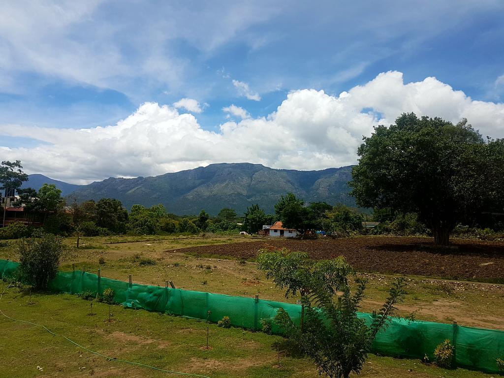 Tamarind Tree Hotel Ooty Exterior foto