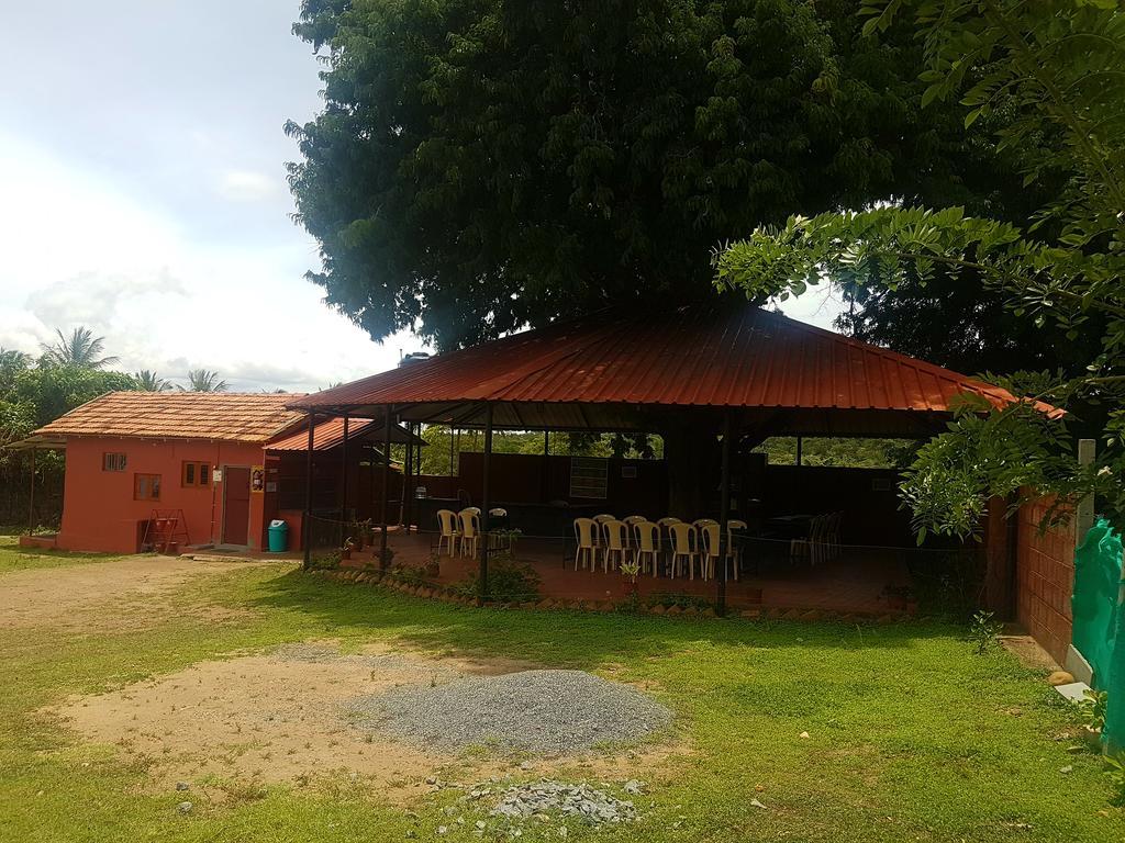 Tamarind Tree Hotel Ooty Exterior foto